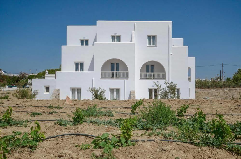 Ktima Lino Apartment Agia Anna  Exterior foto